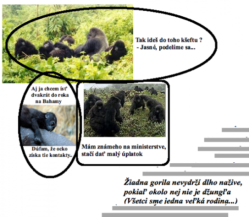 Gorilia spoločnosť